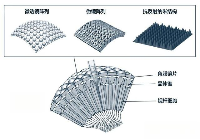 光学工程技术的三大发展趋势_shanqinquan.com